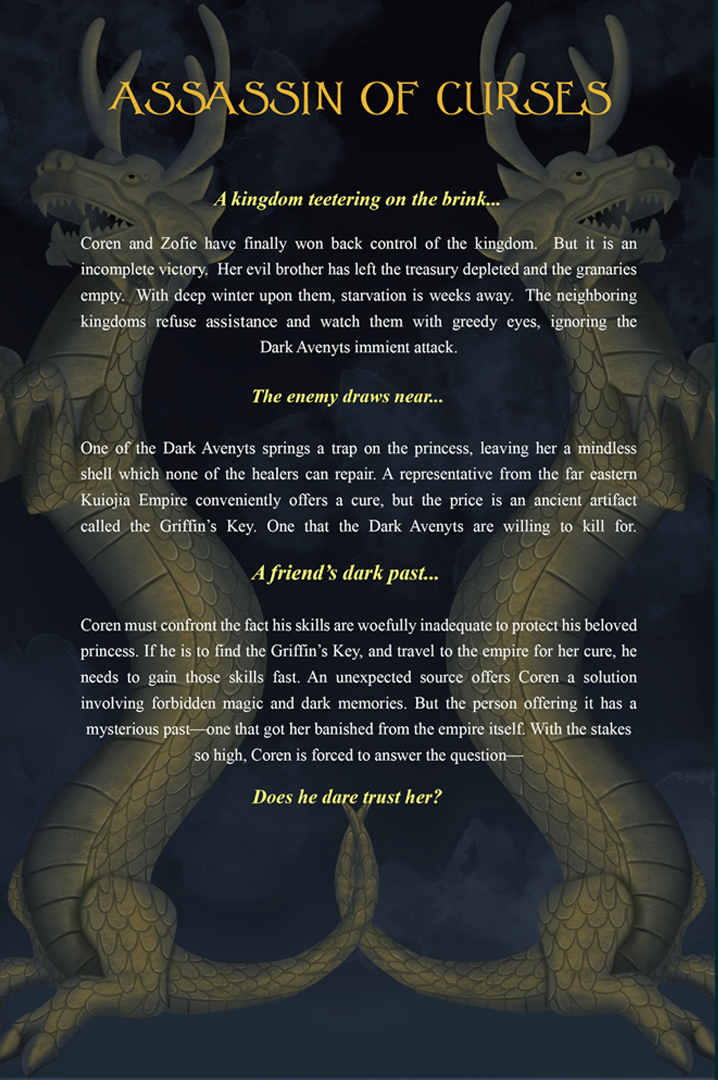 Assassin of Curses-Square-Back Cover-only