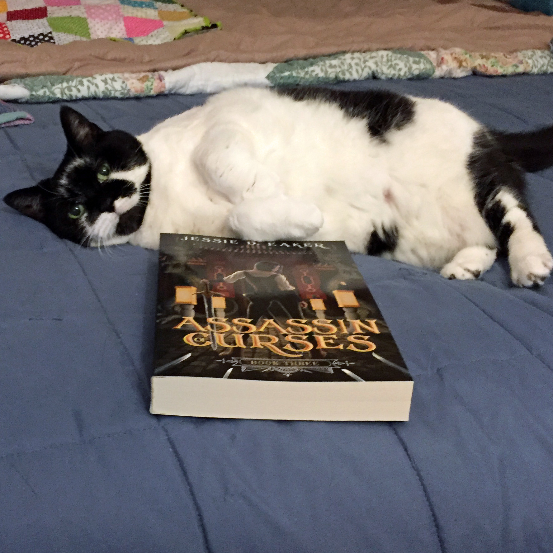 Mushu-Assassin of Curses-Laying-Down