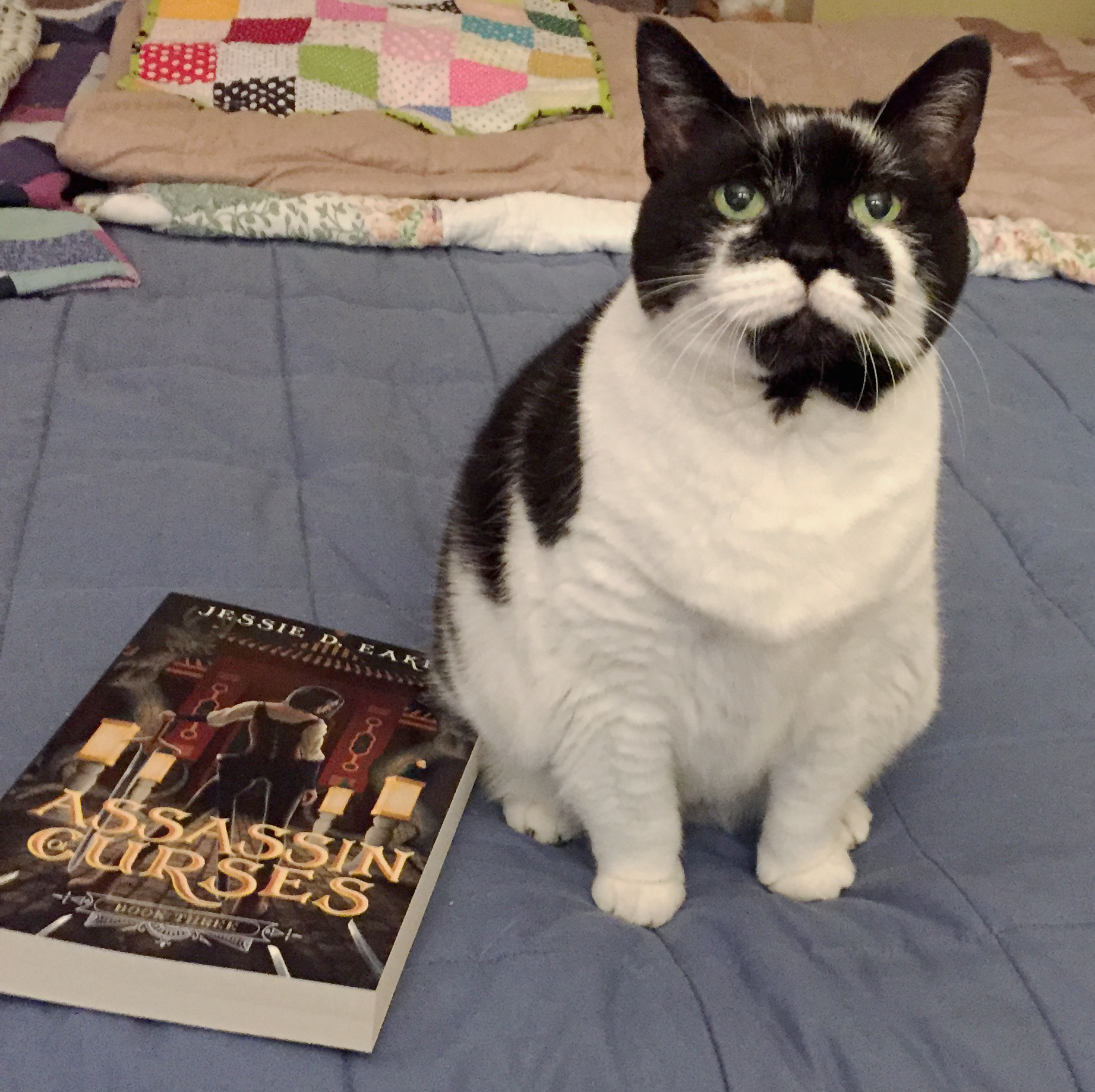 Mushu-Assassin-of-Curses