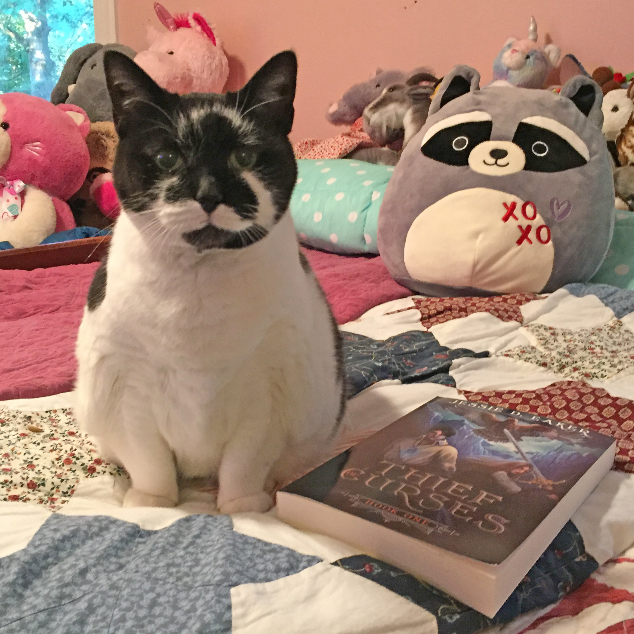 Mushu-Thief of Curses