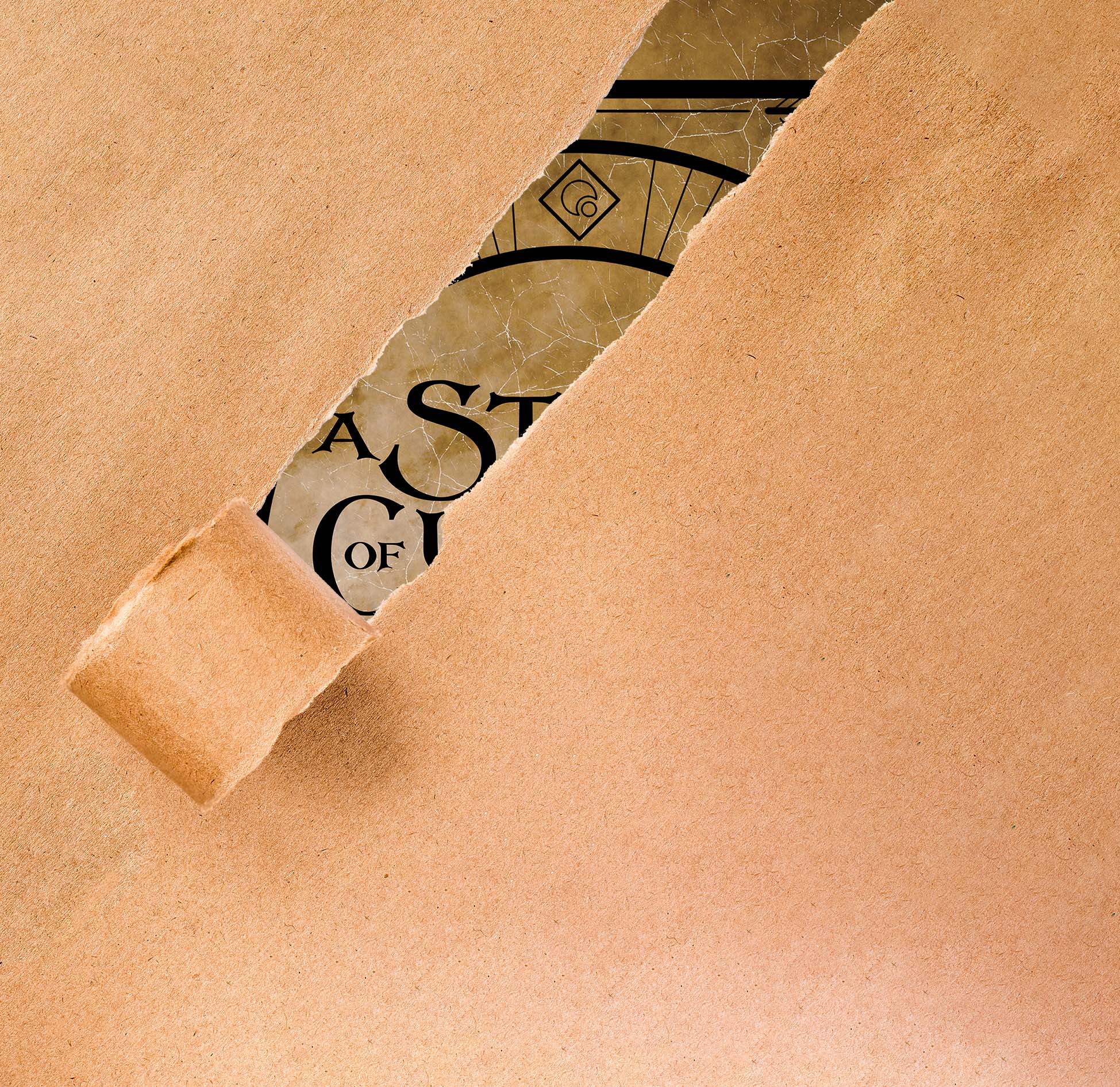 Book cover through torn paper