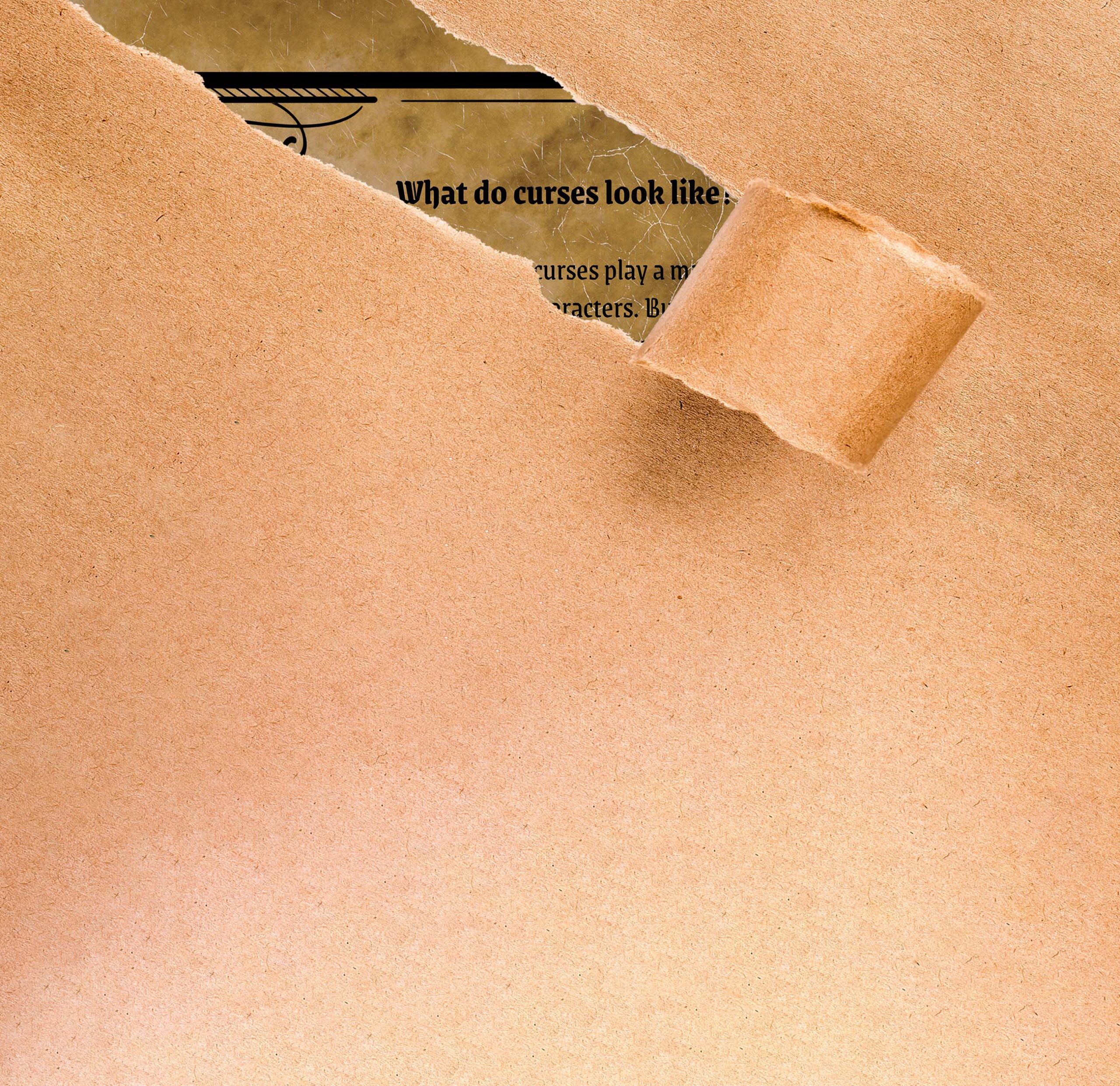 A Study of Curses tease of back cover.